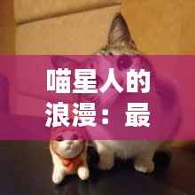 第1159页
