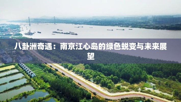 劳燕分飞 第5页