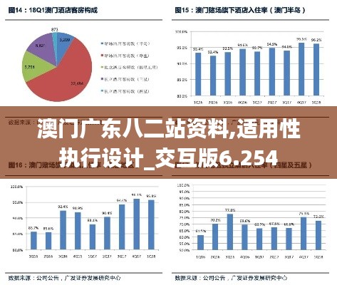 澳门广东八二站资料,适用性执行设计_交互版6.254