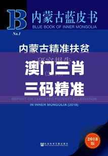 澳门三肖三码精准100%新华字典,实际解析数据_社交版10.708