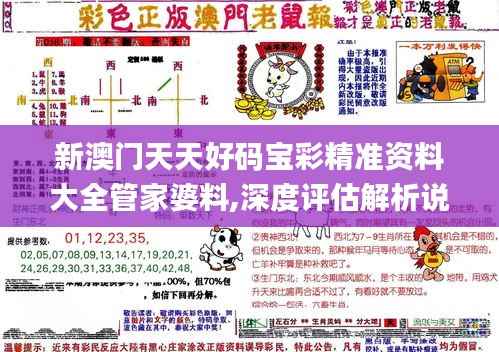 新澳门天天好码宝彩精准资料大全管家婆料,深度评估解析说明_尊享款3.856