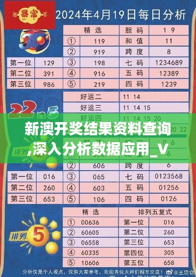 新澳开奖结果资料查询,深入分析数据应用_VR7.333