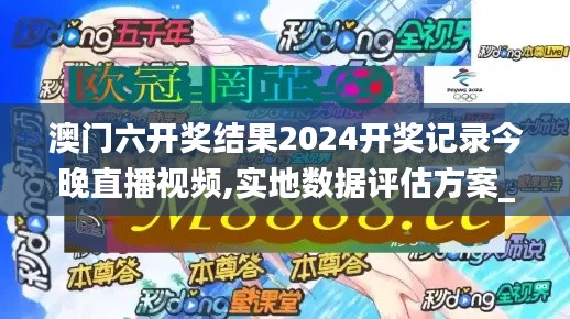 澳门六开奖结果2024开奖记录今晚直播视频,实地数据评估方案_战略版7.938