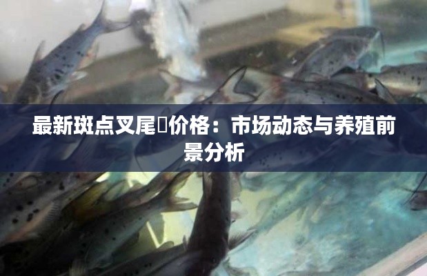 最新斑点叉尾鮰价格:市场动态与养殖前景分析