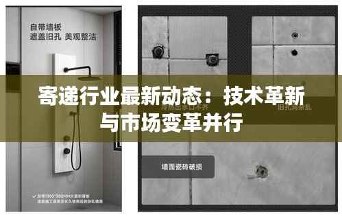 寄递行业最新动态：技术革新与市场变革并行