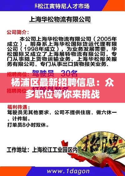 杨浦区最新招聘信息:众多职位等你来挑战