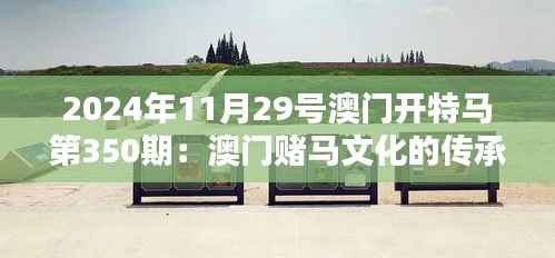 2024年11月29号澳门开特马第350期：澳门赌马文化的传承与创新
