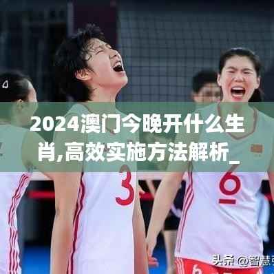 2024澳门今晚开什么生肖,高效实施方法解析_6DM9.988