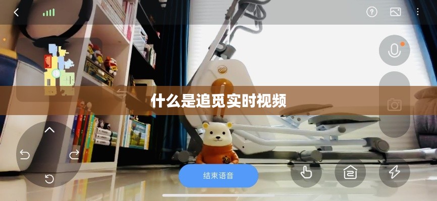 什么是追觅实时视频