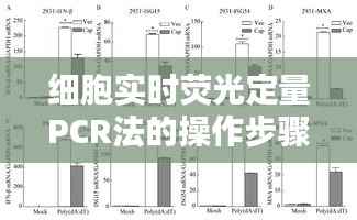 花容月貌 第2页