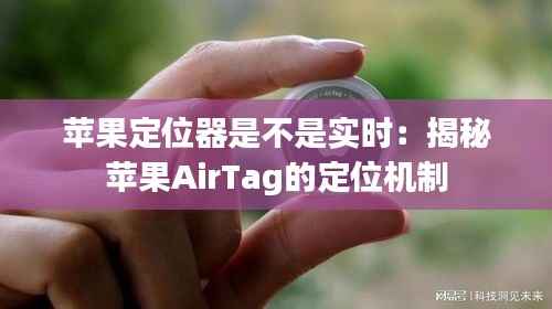 百鸟归巢 第2页