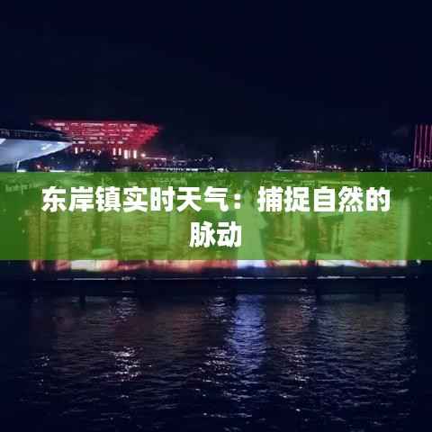 张皇失措 第2页