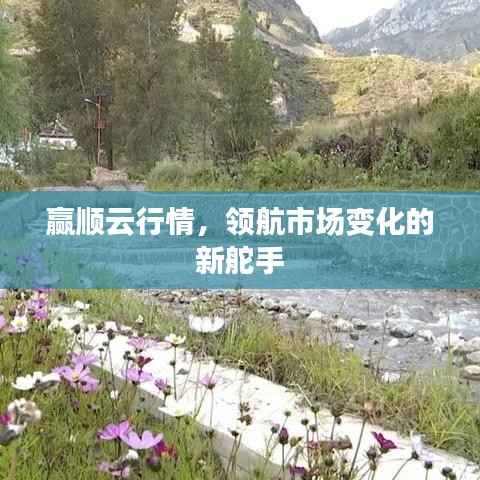 虚张声势 第3页