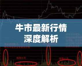 牛市最新行情深度解析