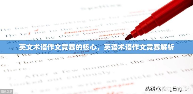 比翼鸟 第2页