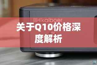 关于Q10价格深度解析