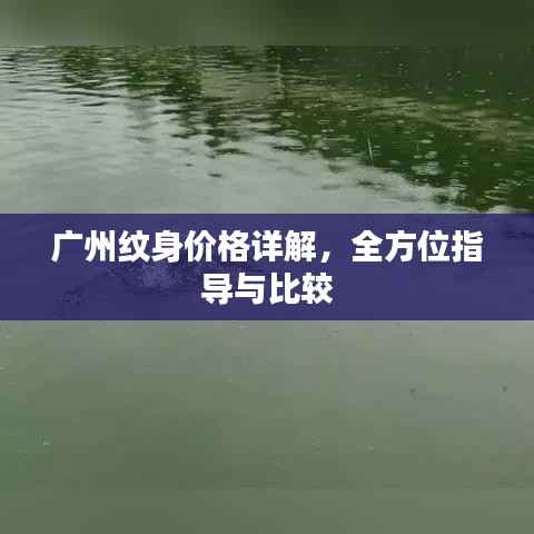 广州纹身价格详解，全方位指导与比较