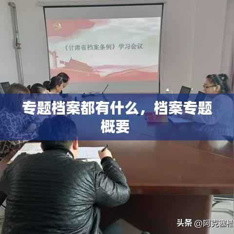 专题档案都有什么，档案专题概要 