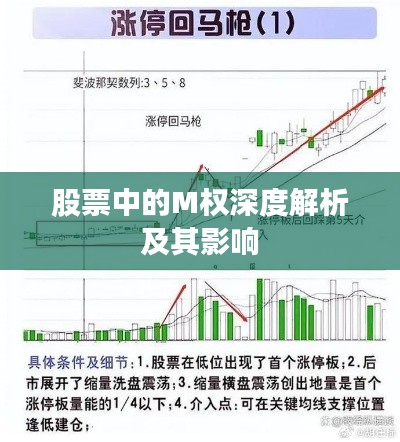 小鸟伊人 第2页