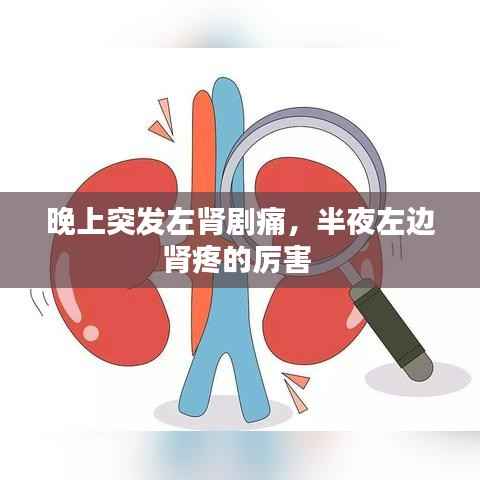 晚上突发左肾剧痛，半夜左边肾疼的厉害 