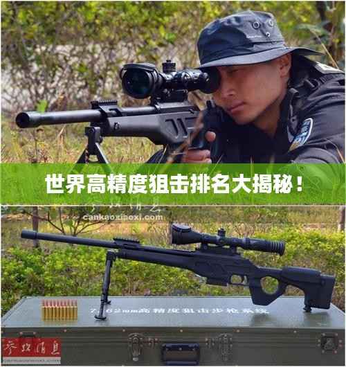世界高精度狙击排名大揭秘！