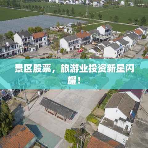 寥若晨星 第2页