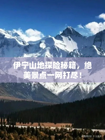 伊宁山地探险秘籍,绝美景点一网打尽!
