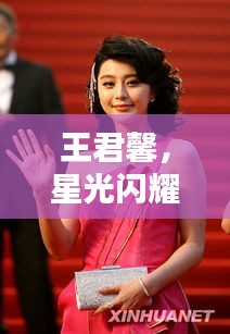 王君馨,星光闪耀,非凡成就,百度热推!