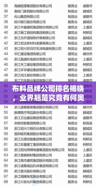 布料品牌公司排名揭晓，业界翘楚究竟有何奥秘？