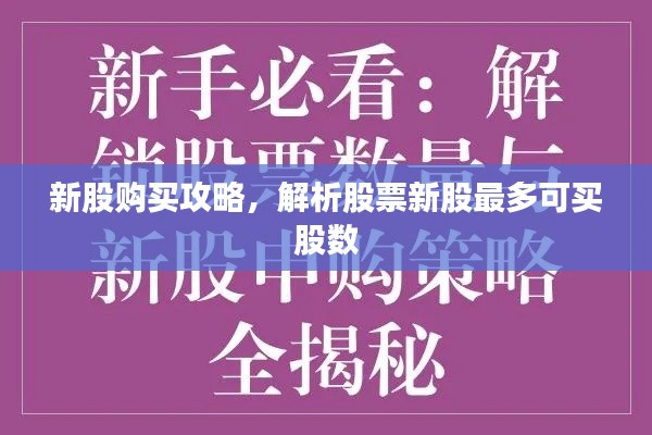 新股购买攻略，解析股票新股最多可买股数