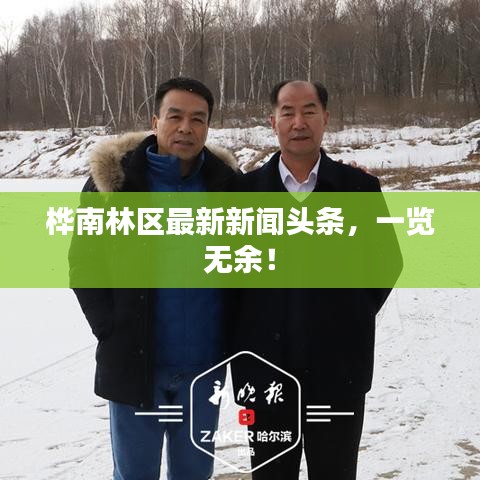 桦南林区最新新闻头条，一览无余！