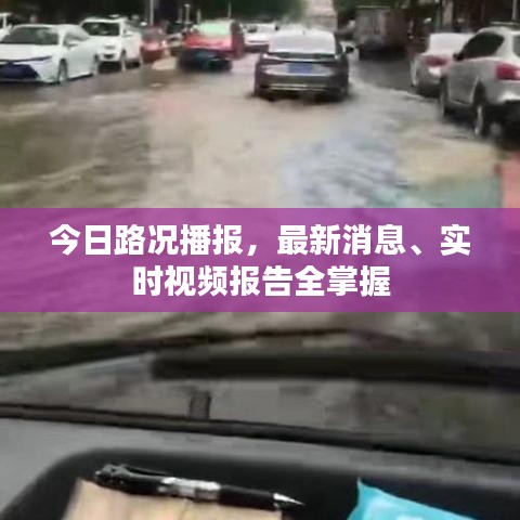 粗枝大叶 第2页