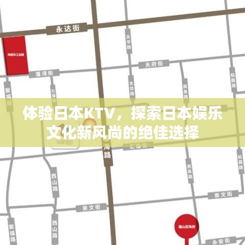 体验日本KTV，探索日本娱乐文化新风尚的绝佳选择