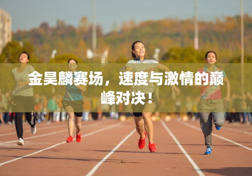 金昊麟赛场，速度与激情的巅峰对决！