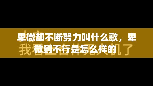 卑微却不断努力叫什么歌，卑微到不行是怎么样的 