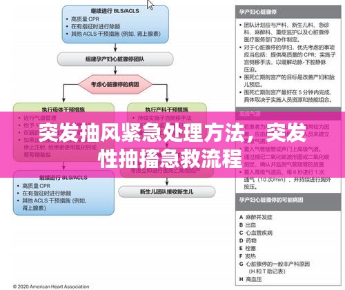 突发抽风紧急处理方法，突发性抽搐急救流程 